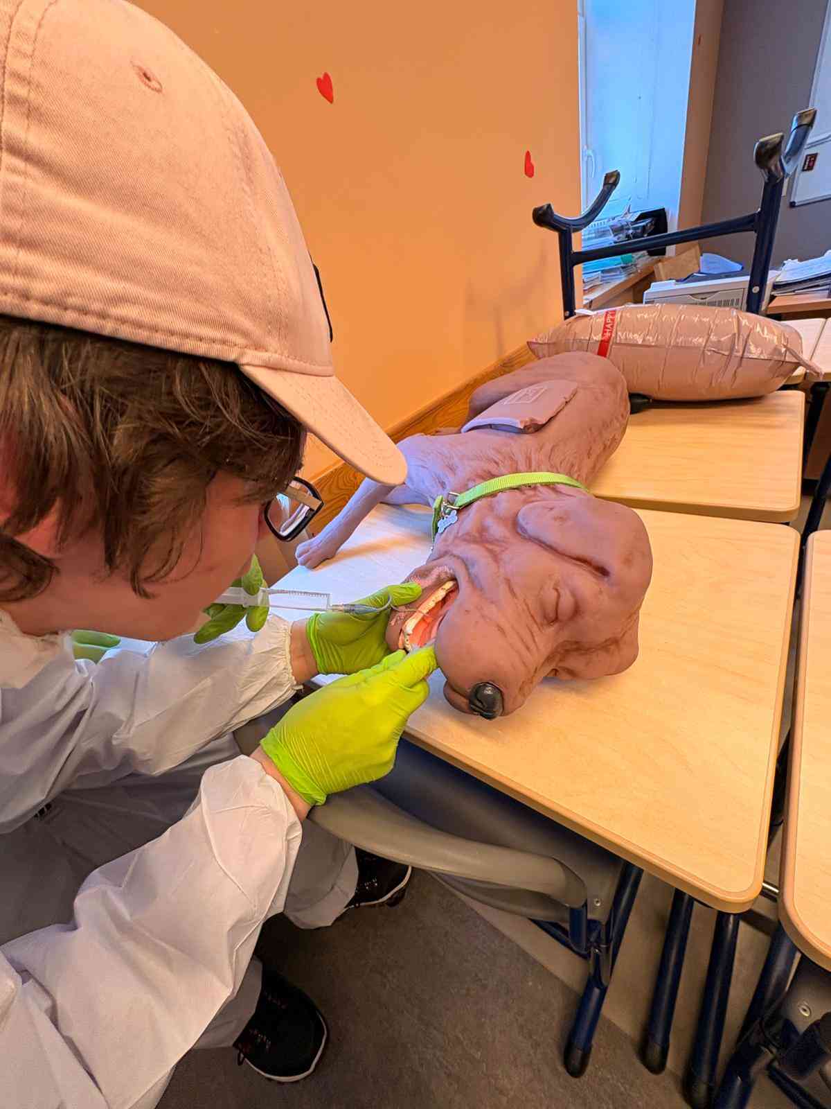 Vetu dienas 2026 – pieredze, zināšanas un aizrautība veterinārmedicīnā