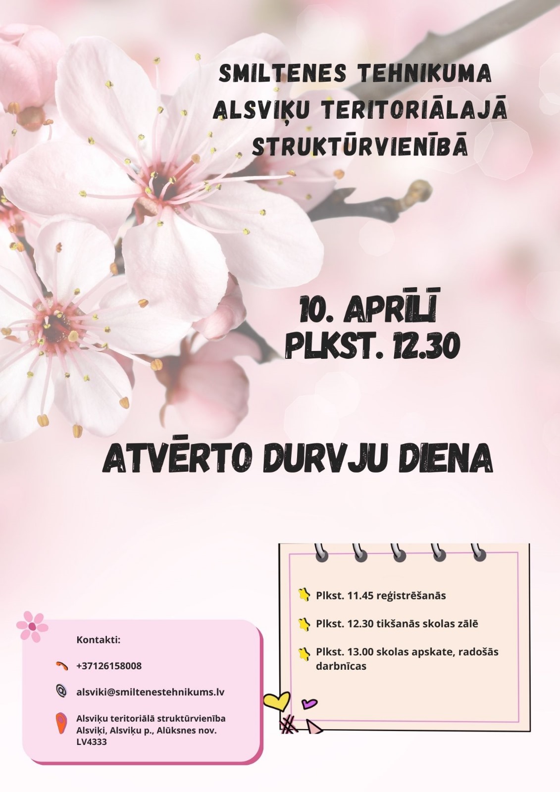 Informācijas diena Alsviķos