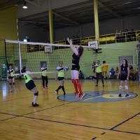 AMI SK 28. sporta spēļu apakšgrupas sacensības volejbolā jaunietēm